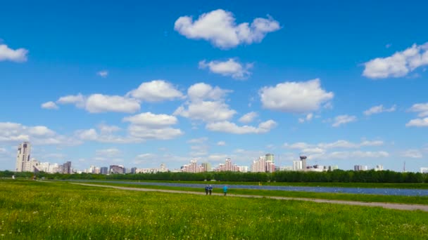 Flusslandschaft Park Sommer Mit Blick Auf Die Hochhäuser Der Stadt — Stockvideo