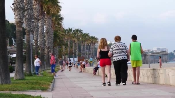 Embankment Playa Ciudad Española España Miami Platha — Vídeo de stock