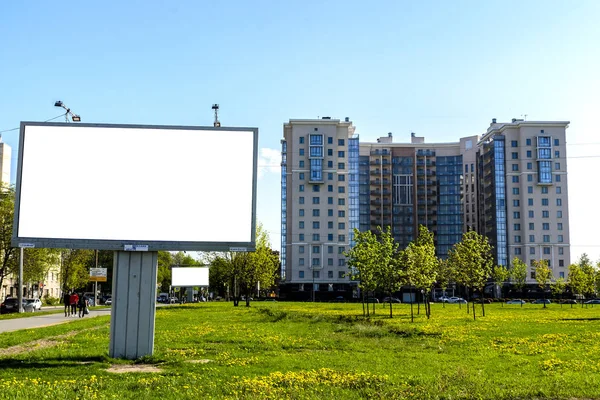 Billboard Achtergrond Van Een Groen Gazon Met Paardebloemen Een Mooi — Stockfoto