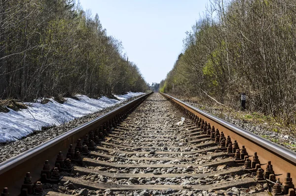 Dirección Ferrocarril Vía Única Para Viejos Trenes Vapor Diésel Carriles — Foto de Stock