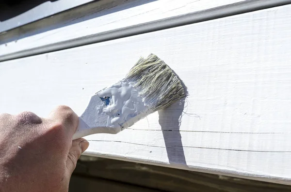 Pintor Pinta Una Pieza Pared Madera Con Pequeño Pincel Pintura — Foto de Stock