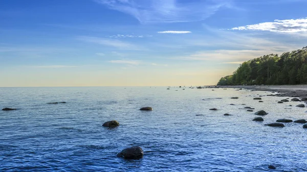 海岸石 ビーチ パノラマ フィルム効果 海岸とバルト海とフィンランド湾の眺め — ストック写真