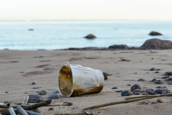 pollution of the planet, discarded garbage on the beach. no recycling of waste in Russia.