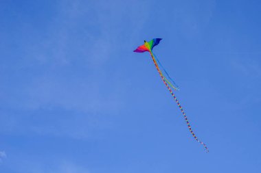 cinsel azınlıkların bayrağı renginde uzun bir kuyruk ile uçan bir yılan. güzel bir kuş şeklinde gay ve lezbiyen uçan, mavi gökyüzünde uçan.                               