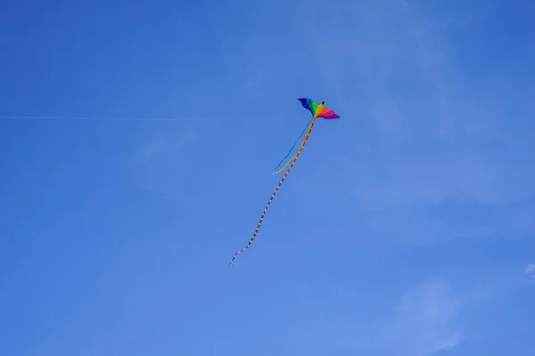 一条长尾巴的飞蛇 颜色是性少数民族的旗帜 同性恋飞蛇的形式 美丽的鸟 飞过蓝天 — 图库照片