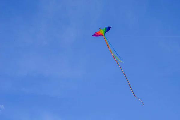 Una Serpiente Voladora Con Una Larga Cola Color Bandera Las —  Fotos de Stock