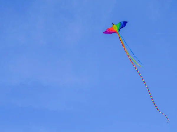 Eine Fliegende Schlange Mit Langem Schwanz Der Farbe Der Flagge — Stockfoto