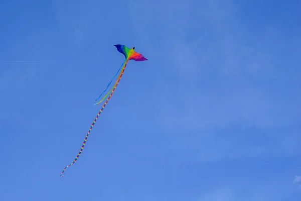 a flying snake with a long tail in the color of the flag of sexual minorities. gay and lesbian flying snakes in the form of a beautiful bird, flying through the blue sky.