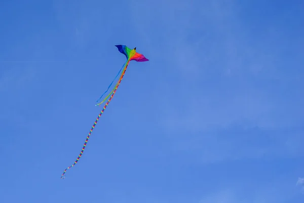 Flying Snake Long Tail Color Flag Sexual Minorities Gay Lesbian — Stock Photo, Image