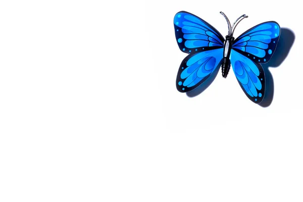Одна Синяя Бабочка Расправленными Крыльями Изолированы Белом Фоне Плоский Лежал — стоковое фото