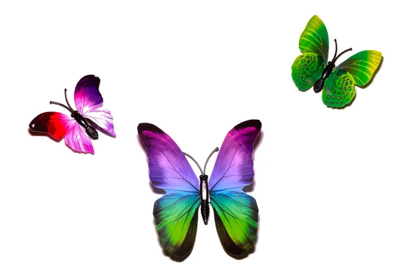 Tre Färgade Regnbåge Fjärilar Isolerade Vit Bakgrund Flerfärgad Med Spridda — Stockfoto