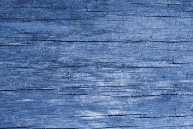 Klasik mavi ahşap ahşap ahşap ahşap ahşap. Kabuk böceği larvası izleri var. Metnin için yer, düz yat.