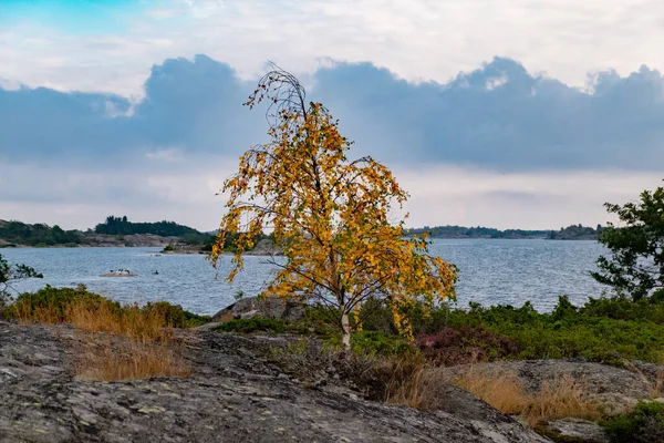 Belle Nature Scandinavie Jetée Ville Tursholm Sur Île Brando Dans — Photo