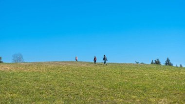 Aile doğada yürür, çocuklar tepenin zirvesine koşar ufuk çizgisini geçer. Yeşil çayır ve mavi gökyüzü manzarası.