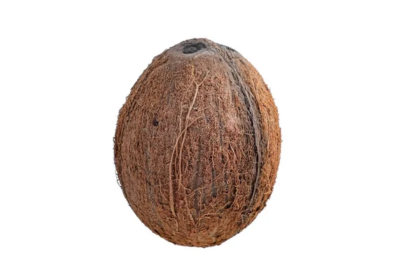 배경에서 똑바로 코코넛 — 스톡 사진