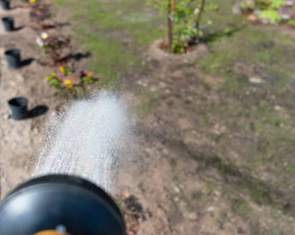 庭や庭に水をやる過程や新鮮な芝生や水からの花は道具になります — ストック写真