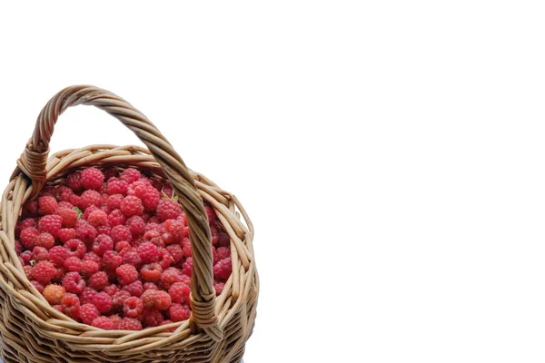 Vitamine Himbeeren Reife Rote Himbeeren Einem Weidenkorb Isoliert Auf Weißem — Stockfoto