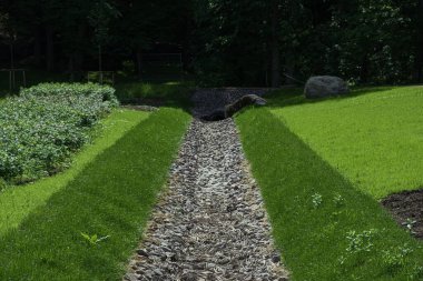 seçici odak, drenaj, bir park bölgesinde drenaj sistemi, çimlerle kaplanmış ve taşlarla kaplanmış bir su yolu, doğa ve yol arasında bir su kemeri. Çim tarlasında taştan su çekiliyor. Çim ve bitki koruması.