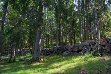 Granit kayaların antik taş duvarı güzel yeşil bir ormanda duruyor..