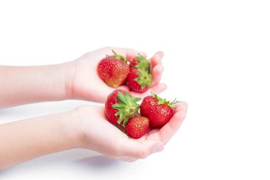 Çocukların elleri olgun, taze ve büyük kırmızı çilekleri çocukların ve yetişkinlerin sağlığı için vitamin ve mineral açısından zengin tutar. Sağlıklı kahvaltı kavramı, beyaz arka planda izole edilmiş.