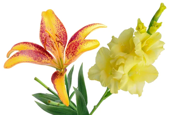 Sarı gladiolus ve sarı ve kırmızı zambak, ulus gününde iki çiçek ya da anneler günü beyaz arka planda izole edilmiş. Anma günü hediyesi. yüksek çözünürlük.