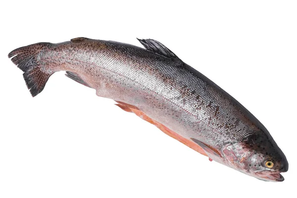 Red Diet Fish River Trout Rich Omega Vitamins Minerals Isolated — Stock Photo, Image