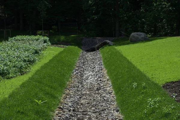 seçici odak, drenaj, bir park bölgesinde drenaj sistemi, çimlerle kaplanmış ve taşlarla kaplanmış bir su yolu, doğa ve yol arasında bir su kemeri. Çim tarlasında taştan su çekiliyor. Çim ve bitki koruması.
