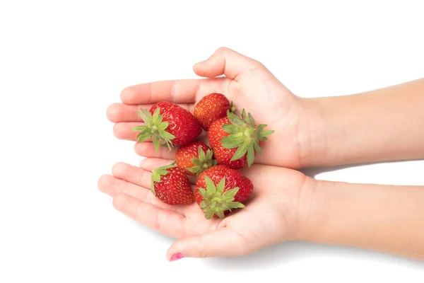 Erdbeeren Sind Den Händen Auf Weißem Hintergrund — Stockfoto