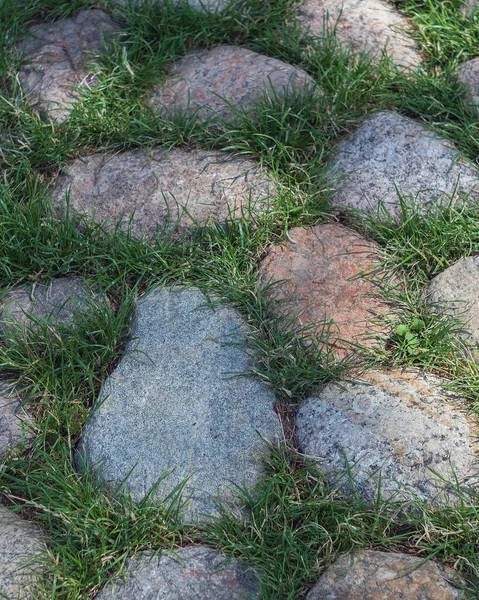 Ścieżka Dla Pieszych Dużych Granitowych Kamiennych Głazów Porośniętych Trawą — Zdjęcie stockowe