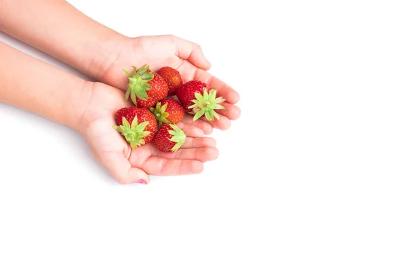 Rote Reife Erdbeeren Kinderhänden Isoliert Auf Weißem Hintergrund — Stockfoto