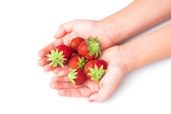 Kinderhände Halten Reife Frische Und Große Rote Erdbeeren Die Reich — Stockfoto