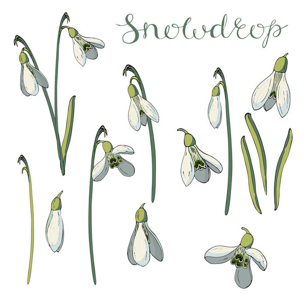 Векторный бесшовный шаблон 