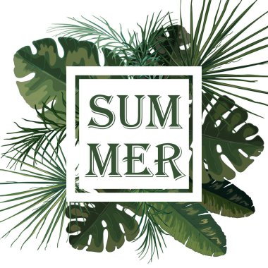 Yeşil palmiye yaprakları ve bitkilerin vektör tropikal arka plan. 