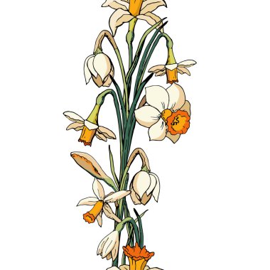 Vektör çiçek illüstrasyon whit narcissus