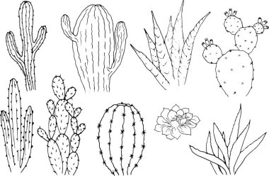 Kaktüslerin vektör seti. Çizgi film monokrom izole nesneler bir wh üzerinde