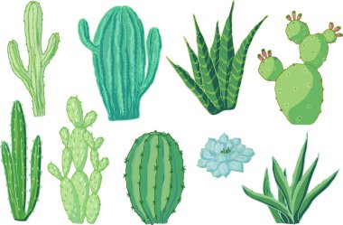 Kaktüslerin vektör seti. Karikatür renkli izole nesneler beyaz üzerinde