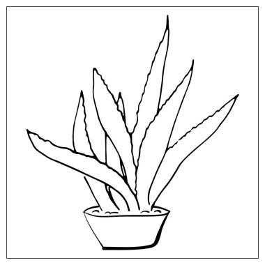 Kaktüslü tebrik kartı. Doğrusal el çizimi resimleme.