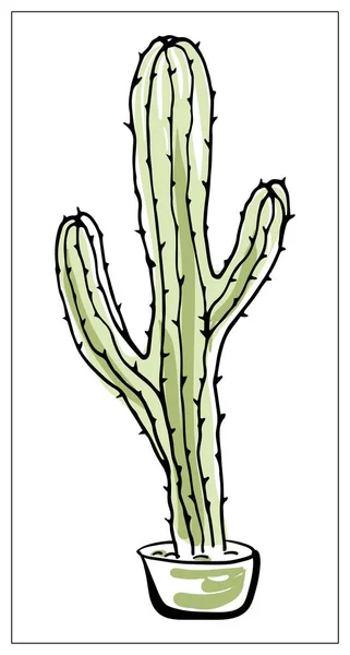 Biglietto vettoriale con cactus. Illustrazione disegnata a mano multicolore . — Vettoriale Stock