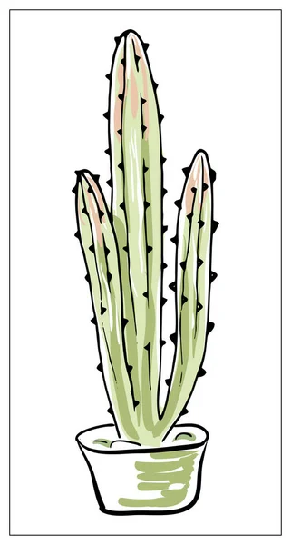 Vector wenskaart met cactus. Veelkleurige handgetekende illustratie. — Stockvector