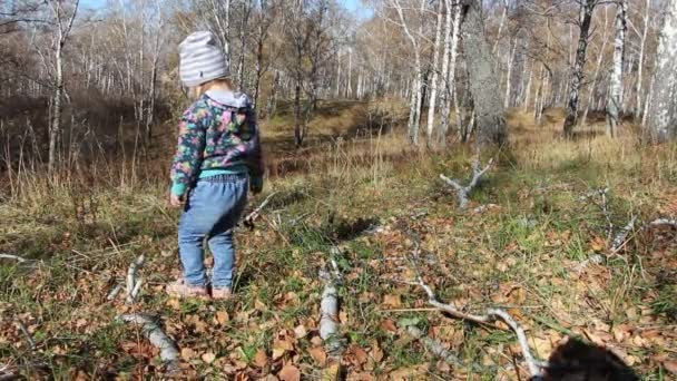 Little girl collects dry branches of trees in the autumn forest. — Stock Video
