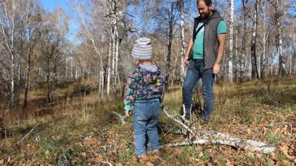 Padre e hija recogen ramas de árboles secos en el bosque otoñal . — Vídeos de Stock