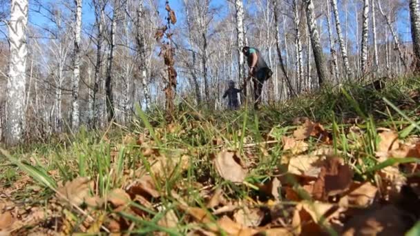 Padre con su hija a las manos caminando en el bosque otoñal — Vídeo de stock