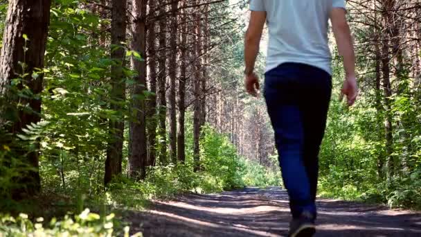 El hombre camina por un sendero a través de un bosque — Vídeos de Stock