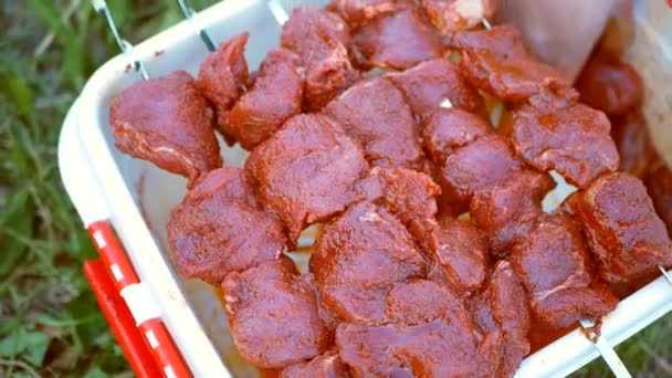 Ζουμερές φέτες ωμού βοδινού κρέατος τουρσί σε σουβλάκια. Bbq μαγείρεμα σε εξωτερικούς χώρους — Αρχείο Βίντεο