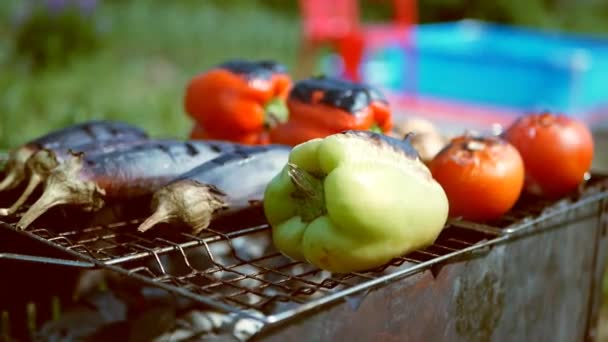 Verduras tomate champiñones berenjena pimentón se asan al aire libre — Vídeos de Stock