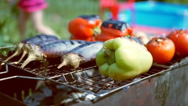 Verduras tomate champiñones pimentón berenjena cocina a la parrilla al aire libre — Vídeos de Stock