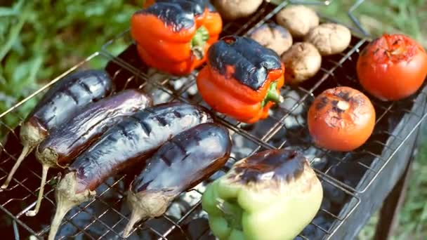 Gemüse Tomaten Pilze Paprika Auberginen wird draußen gegrillt — Stockvideo