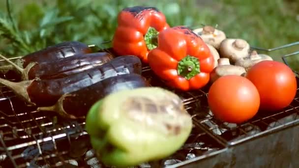 Verduras tomate champiñones berenjena pimentón se asan al aire libre — Vídeo de stock