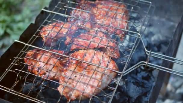 Svinekjøtt tilberedes på grillen utendørs. Begrepet piknik. – stockvideo
