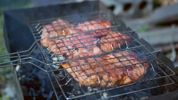 Carnea de porc suculentă este gătită pe un gratar în aer liber. Conceptul de picnic . — Videoclip de stoc